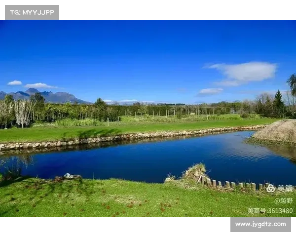 南非开普敦运动医学中心推出创新投手肘保护方案助力板球运动员健康